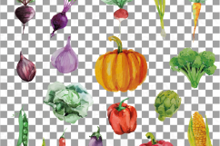 Watercolor Vegetables clip art pack, green and colorful vegetables. Healthy Food, eps png, jpg, svg, vector files included, instant download Product Image 14