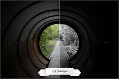 Infrared Monochrome Master Profiles LR7.3 ACR10.3 Product Image 9