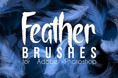 Real Feather Photoshop Brushes Product Image 1