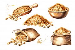 Bakery. Wheat, flour and wheat field Product Image 3