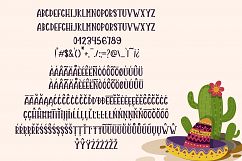 Mister Sombrero Product Image 5