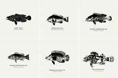 Premium Fishes Illustrations Product Image 11