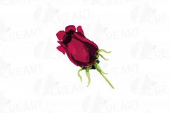 Watercolor Red and Burgundy Roses and leafs clip art pack Product Image 14