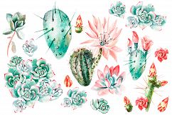 Watercolor SUCCULENTS &amp; CACTUSES Product Image 15