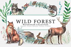 Wild Forest Watercolor Collection Product Image 1