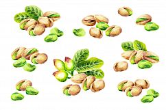 Pistachios bundle. Watercolor Product Image 3