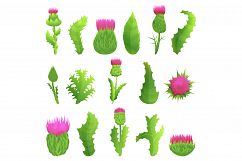 Thistle icons set, cartoon style Product Image 1