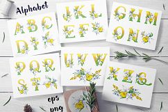 Daffodils  – spring alphabet and wreath Product Image 1