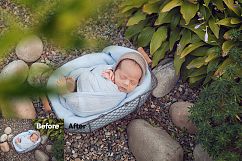 42 Green Tree Branch Photo Overlays Product Image 6