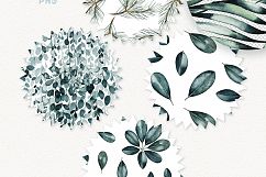 Watercolor Plants Product Image 3