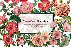 Vintage Flower Illustrations - Vol 1 Product Image 1