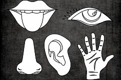Five senses clipart / tongue mouth, nose, ear, eye, hand Product Image 3