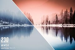 1000 Unique Lightroom Presets Product Image 16