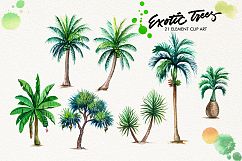 watercolor exotic trees Product Image 2