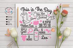 Baby Girl Birth Announcement - Chart in SVG, DXF, EPS, AI Product Image 2