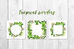 Tropical leaves PNG watercolor set Product Image 8