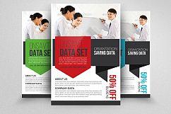 Business Analyst Flyer Template Product Image 1