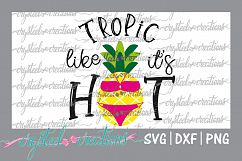 Tropic like it&#039;s hot with bikini Product Image 1