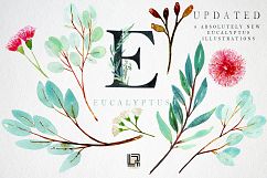 Eucalyptus. Watercolour clipart. Product Image 11