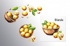 Marula Product Image 4