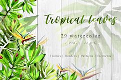 Tropical leaves PNG watercolor set Product Image 1