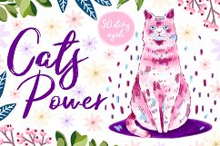Cats Power Product Image 1