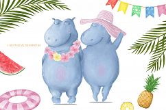 Hippo Beach Travel. Summer Set Product Image 2