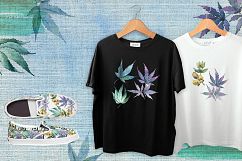 Watercolor cannabis PNG leaves set Product Image 2