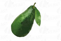 Watercolor Avocado clip art pack,avocado leaves and flowers Product Image 12