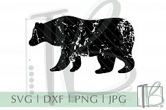 Grunge Bear SVG Product Image 2