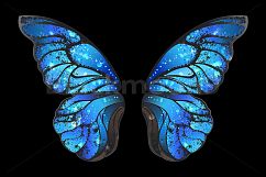 Blue Butterfly Wings Product Image 1