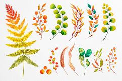 Fall collection. Watercolor. Product Image 7