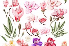 HandDrawn Watercolor Bundle FLOWERS3 Product Image 4