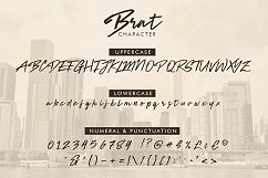 Brat Brush Product Image 7