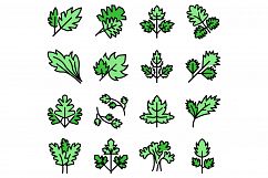 Parsley icons set vector flat Product Image 1