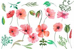 Watercolor Poppy flowers clipart Product Image 2