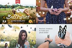 1000+ Photo Overlays Bundle+FREE UPD Product Image 7