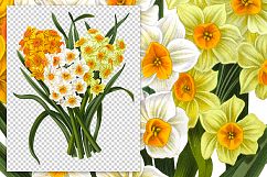 Florals - Vintage Daffodil Bunch Product Image 2