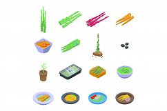 Asparagus icons set, isometric style Product Image 1