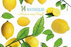 Watercolor lemons, branch and leaves clip art pack, watercolor lemon clip art, exotic fruit, png, pdf, jpg, svg, eps, vector files included. Product Image 1