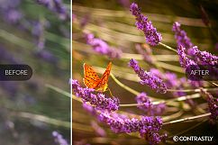 Lomography Lightroom Presets Product Image 4