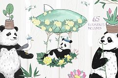Pandas. Summer Adventure Product Image 5