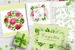Camellia watercolor collection Product Image 7