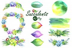 Watercolor Succulents Clip Art Set Product Image 4