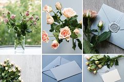 Floral Stock Photos Mini Bundle Product Image 2