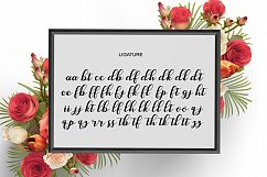 Gabias Script Product Image 4