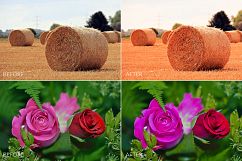 Summer Lr Presets Product Image 7