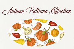 Autumn Patterns Collection - vector illustration Product Image 6