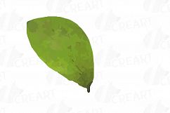 Watercolor blueberry, branch and leaves vector clip art pack Product Image 11