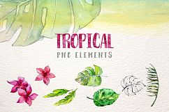 Tropical leaves collection PNG watercolor set Product Image 5